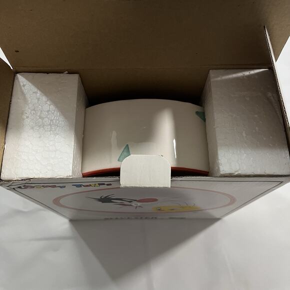 NEW VINTAGE 1993 LOONEY TUNES TWEETY BIRD SYLVESTER CERAMIC PET‎ BOWL DISH 8" - Picture 5 of 6